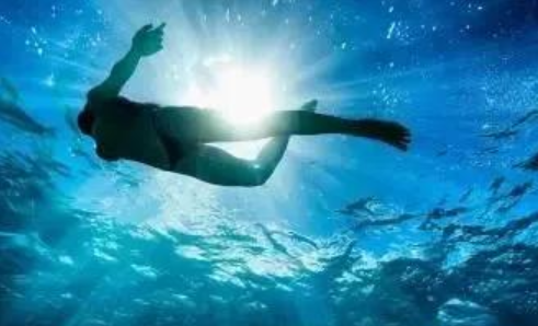 范德安明星青睐高端泳装：游泳一天游多少米才能达到减肥效果？